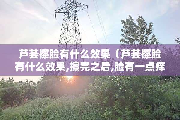 芦荟擦脸有什么效果（芦荟擦脸有什么效果,擦完之后,脸有一点痒）