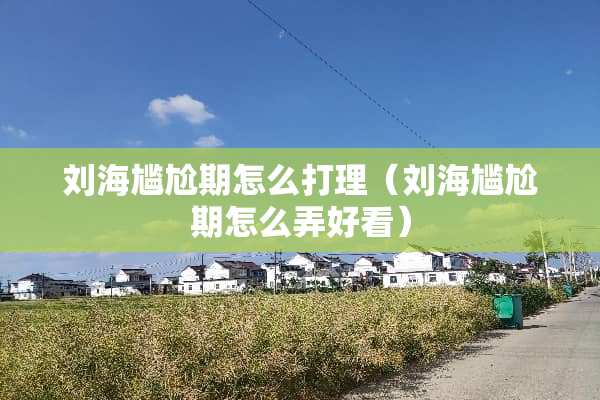 刘海尴尬期怎么打理（刘海尴尬期怎么弄好看）