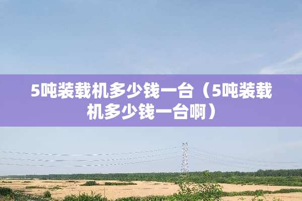 5吨装载机多少钱一台（5吨装载机多少钱一台啊）