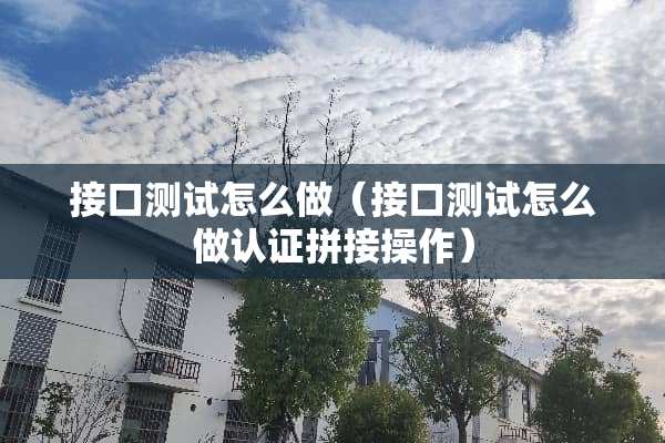 接口测试怎么做（接口测试怎么做认证拼接操作）