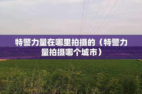 特警力量在哪里拍摄的（特警力量拍摄哪个城市）