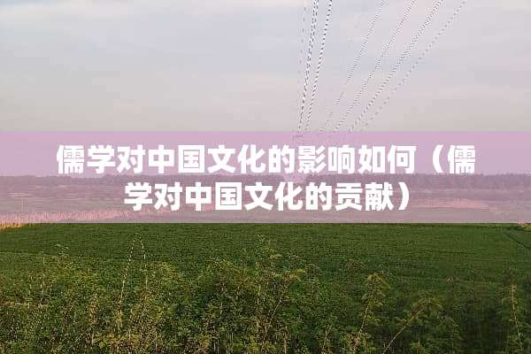 儒学对中国文化的影响如何（儒学对中国文化的贡献）
