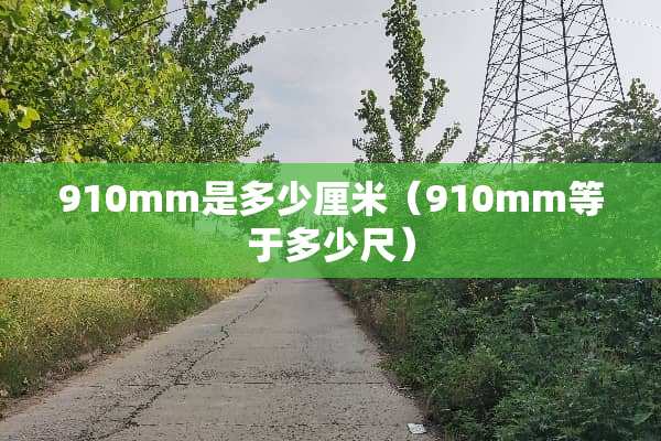 910mm是多少厘米（910mm等于多少尺）