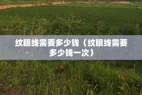 纹眼线需要多少钱（纹眼线需要多少钱一次）