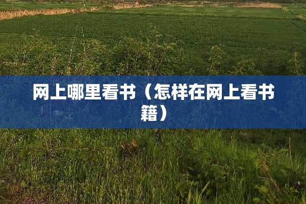 网上哪里看书（怎样在网上看书籍）