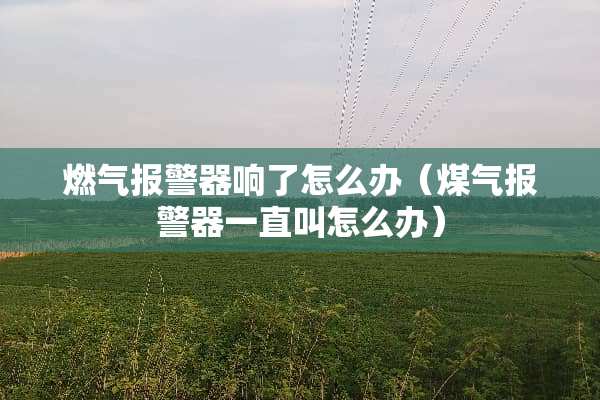 燃气报警器响了怎么办（煤气报警器一直叫怎么办）