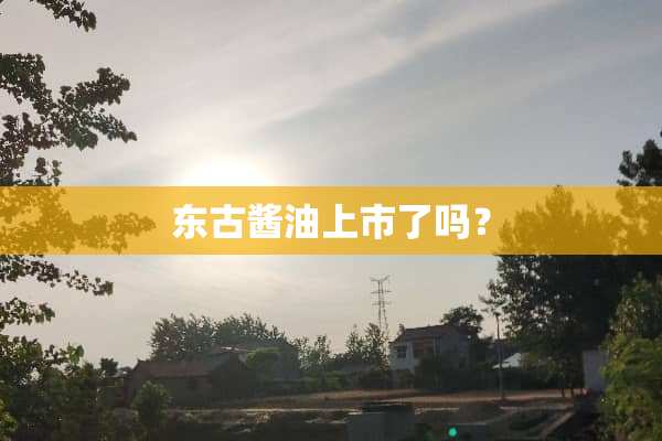 东古酱油上市了吗？