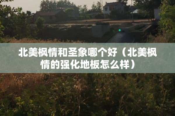 北美枫情和圣象哪个好（北美枫情的强化地板怎么样）