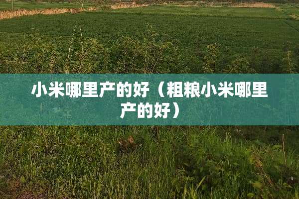 小米哪里产的好（粗粮小米哪里产的好）