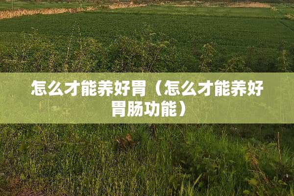 怎么才能养好胃（怎么才能养好胃肠功能）