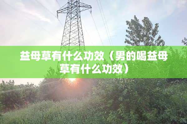 益母草有什么功效（男的喝益母草有什么功效）
