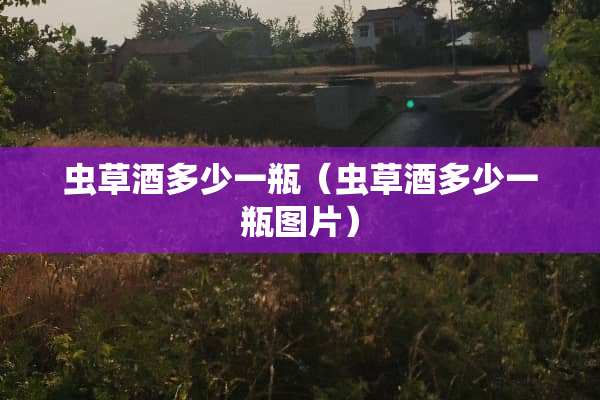 虫草酒多少一瓶（虫草酒多少一瓶图片）