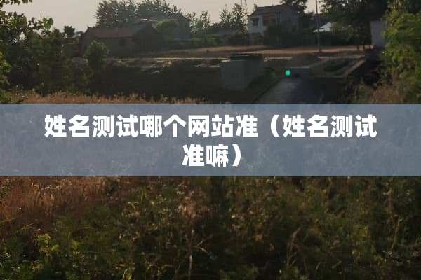姓名测试哪个网站准（姓名测试准嘛）