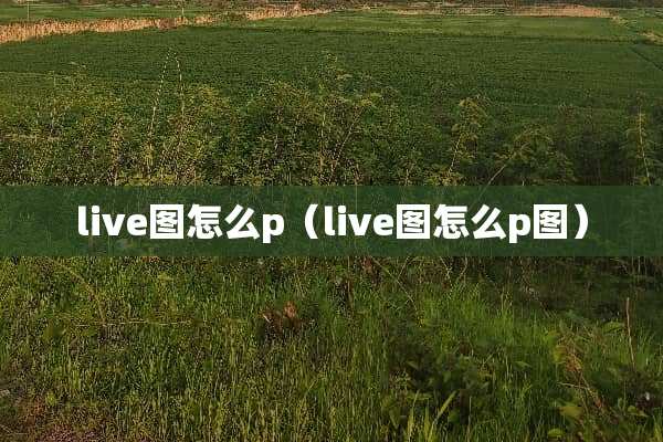 live图怎么p（live图怎么p图）