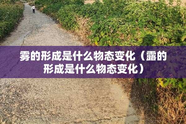 雾的形成是什么物态变化（露的形成是什么物态变化）