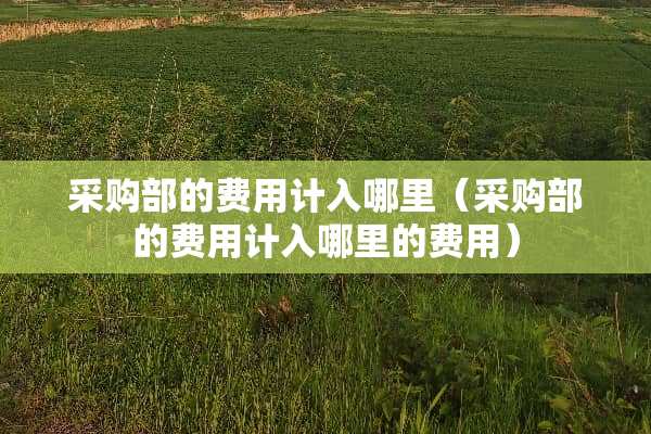 采购部的费用计入哪里（采购部的费用计入哪里的费用）