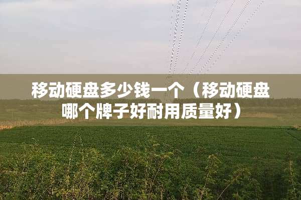 移动硬盘多少钱一个（移动硬盘哪个牌子好耐用质量好）