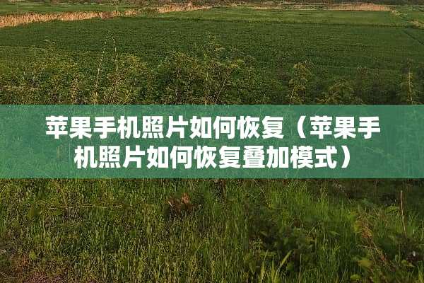 苹果手机照片如何恢复（苹果手机照片如何恢复叠加模式）