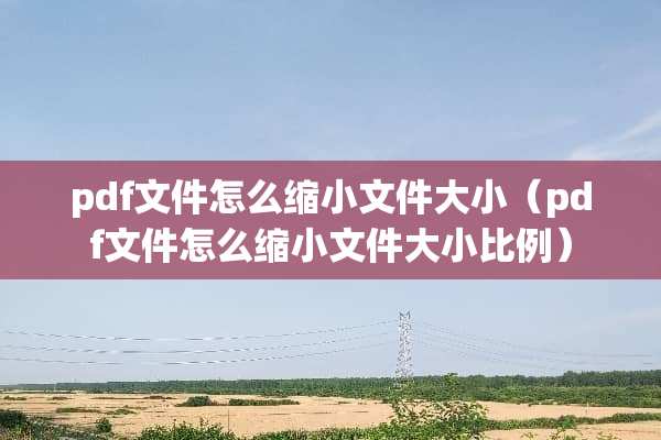 pdf文件怎么缩小文件大小（pdf文件怎么缩小文件大小比例）