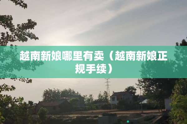 越南新娘哪里有卖（越南新娘正规手续）