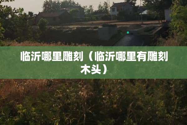 临沂哪里雕刻（临沂哪里有雕刻木头）