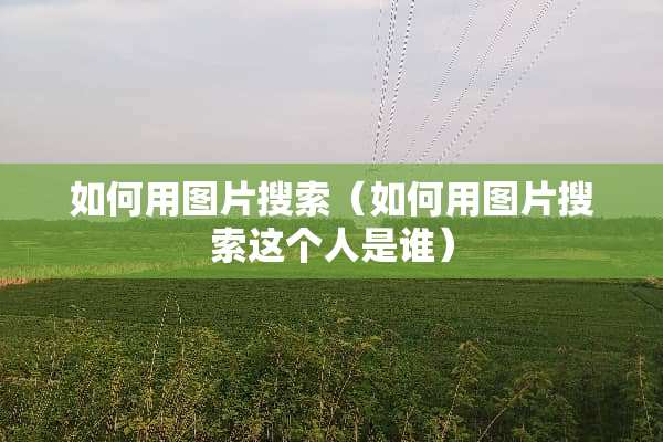 如何用图片搜索（如何用图片搜索这个人是谁）