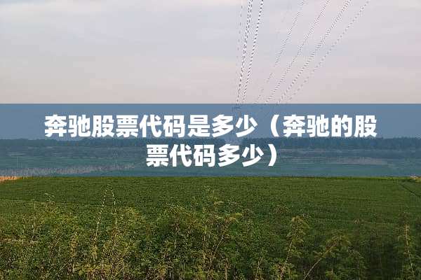 奔驰股票代码是多少（奔驰的股票代码多少）
