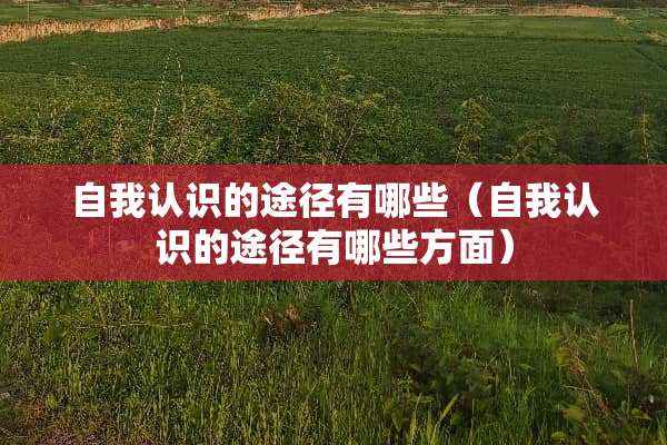 自我认识的途径有哪些（自我认识的途径有哪些方面）