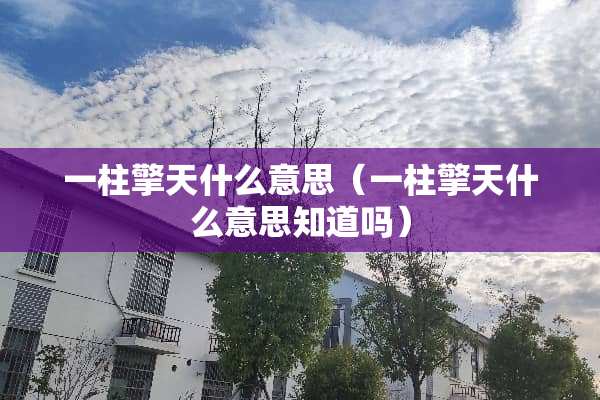 一柱擎天什么意思（一柱擎天什么意思知道吗）