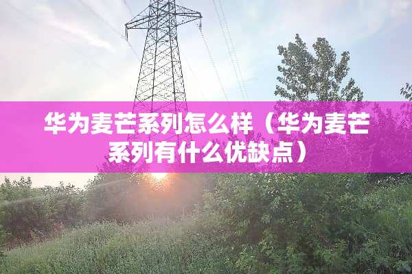 华为麦芒系列怎么样（华为麦芒系列有什么优缺点）