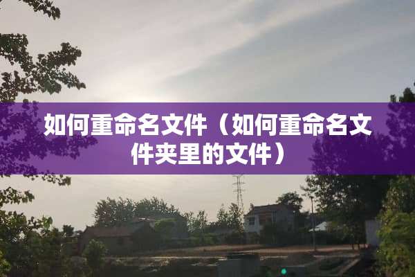 如何重命名文件（如何重命名文件夹里的文件）