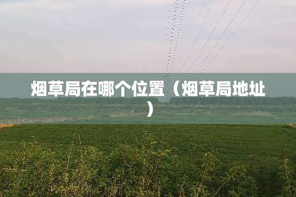 烟草局在哪个位置（烟草局地址）