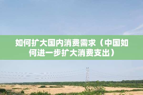 如何扩大国内消费需求（中国如何进一步扩大消费支出）