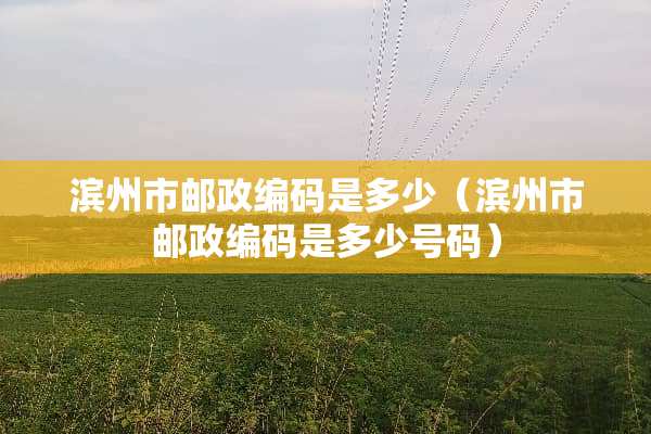 滨州市邮政编码是多少（滨州市邮政编码是多少号码）