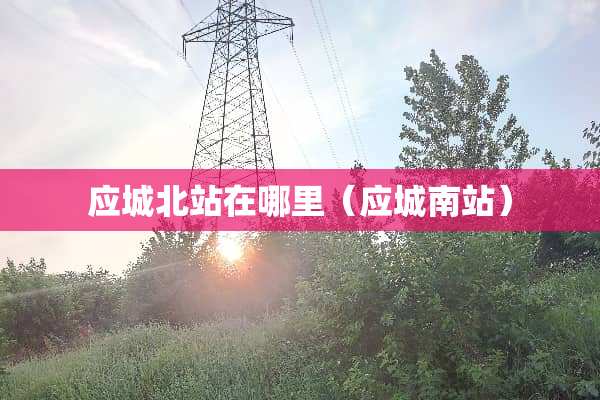 应城北站在哪里（应城南站）