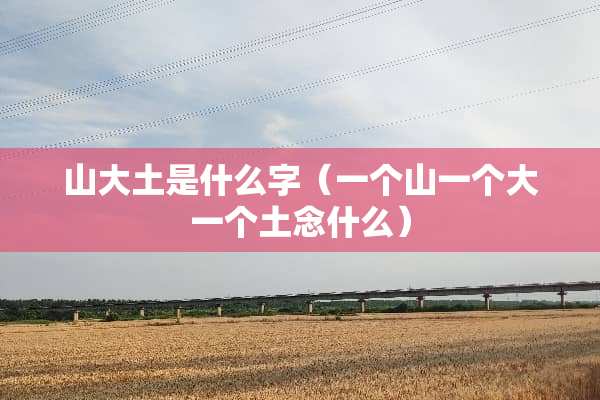 山大土是什么字（一个山一个大一个土念什么）