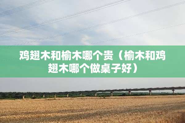 鸡翅木和榆木哪个贵（榆木和鸡翅木哪个做桌子好）