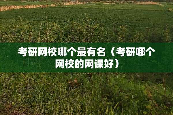 考研网校哪个最有名（考研哪个网校的网课好）