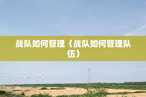 战队如何管理（战队如何管理队伍）