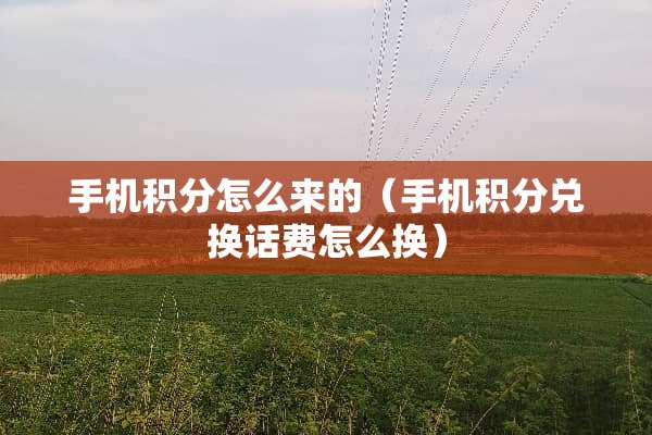 手机积分怎么来的（手机积分兑换话费怎么换）