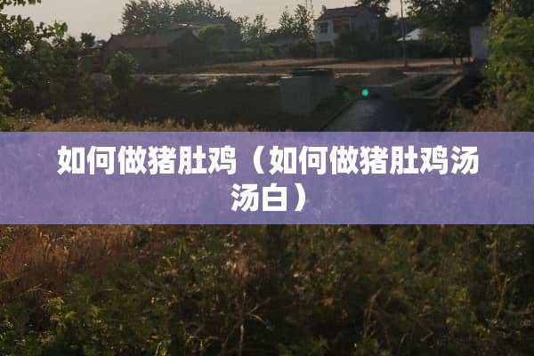 如何做猪肚鸡（如何做猪肚鸡汤汤白）
