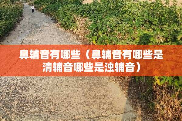 鼻辅音有哪些（鼻辅音有哪些是清辅音哪些是浊辅音）