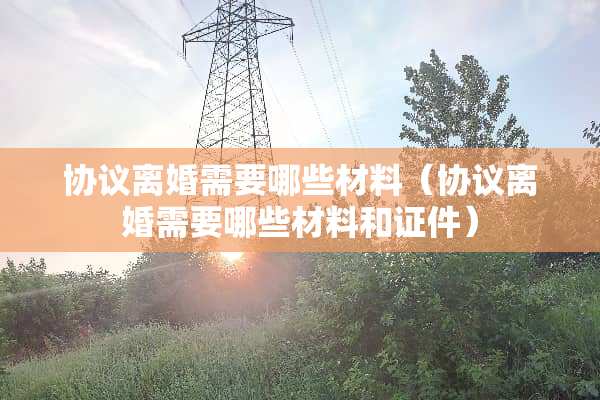 协议**需要哪些材料（协议**需要哪些材料和**）