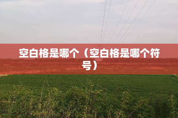 空白格是哪个（空白格是哪个符号）