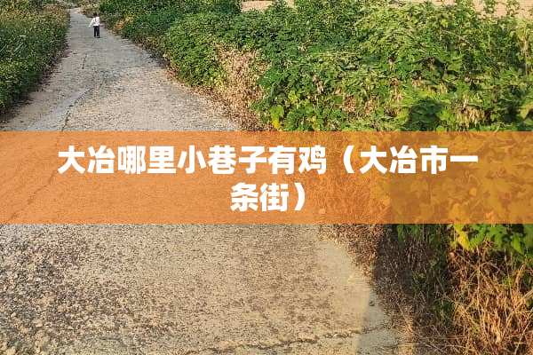 大冶哪里小巷子有鸡（大冶市一条街）