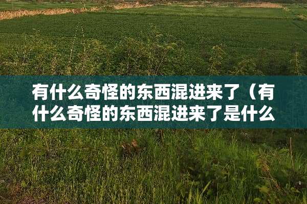 有什么奇怪的东西混进来了（有什么奇怪的东西混进来了是什么肖）