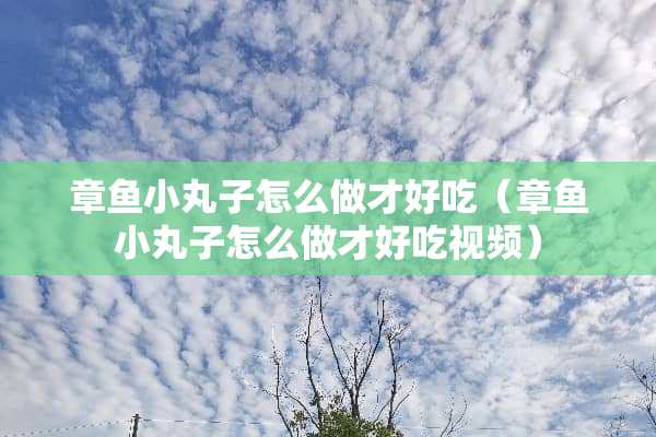 章鱼小丸子怎么做才好吃（章鱼小丸子怎么做才好吃视频）