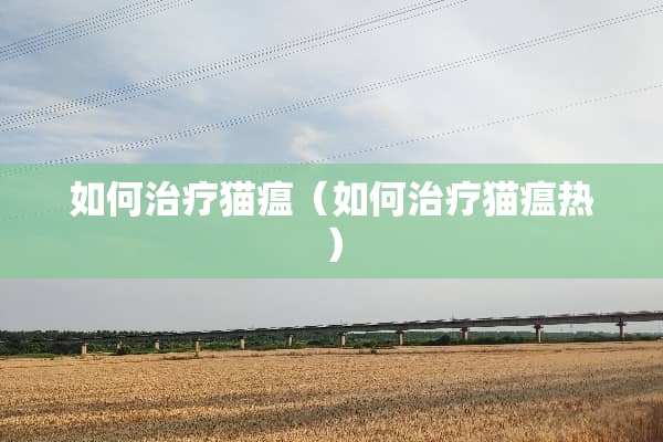 如何治疗猫瘟（如何治疗猫瘟热）