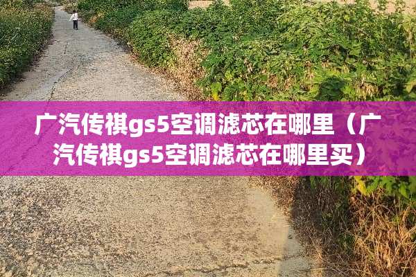 广汽传祺gs5空调滤芯在哪里（广汽传祺gs5空调滤芯在哪里买）