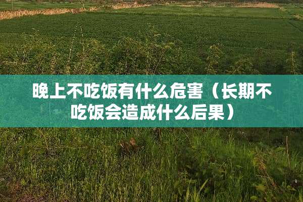 晚上不吃饭有什么危害（长期不吃饭会造成什么后果）